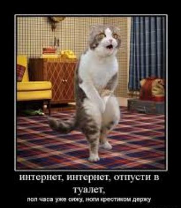 интернеъ интернет итусти в туалет у м