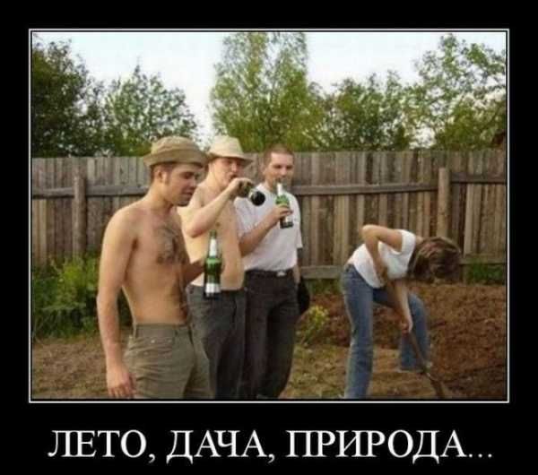 ЛЕТО ДАЧА ПРИРОДА