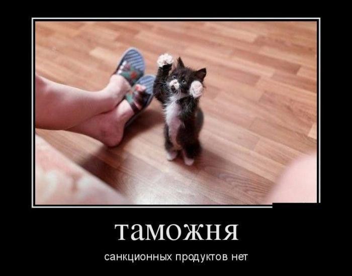 таможня санкционных продуктов нег