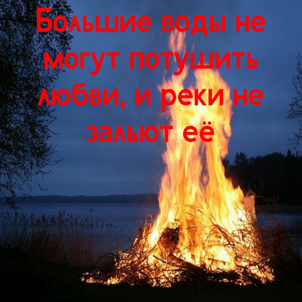Боьшие в ды не