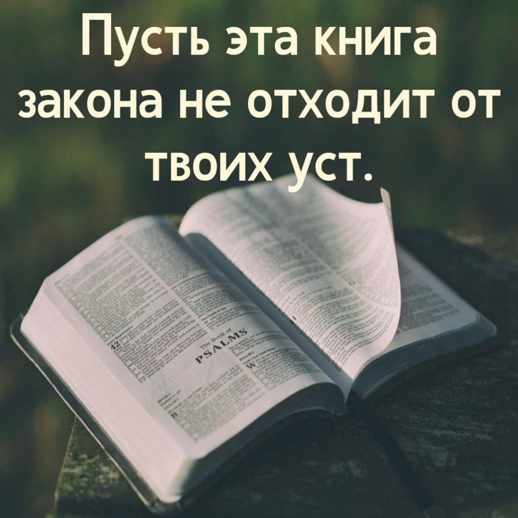 Пусть эта книга закона не отходит от твоих ст