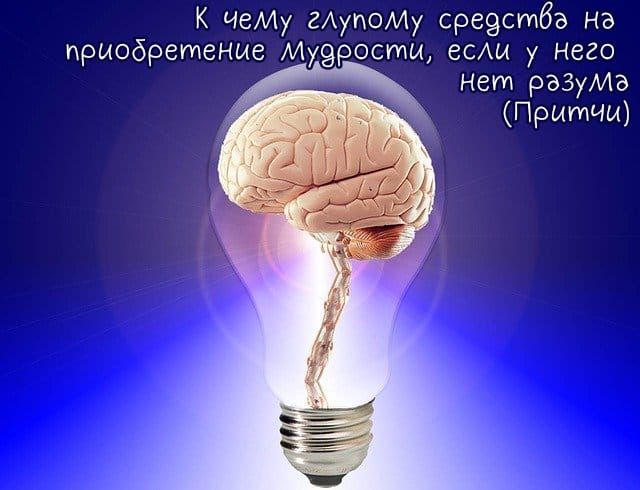 К ЧеИу гАупоИу среэстбв на приобретение Муэрости есАи у него нет ржуив Притчи