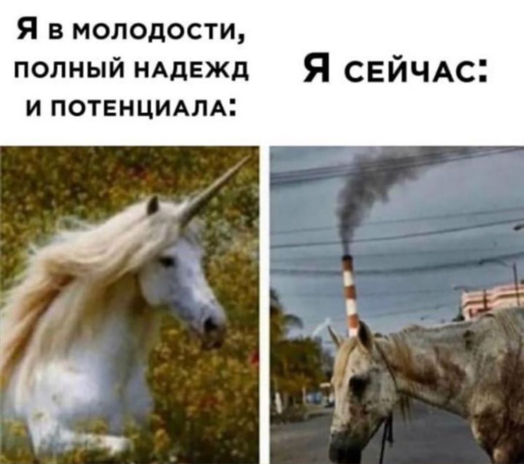 Я в молодости полный НАДЕЖД Я СЕЙЧАс и потвнцмлм