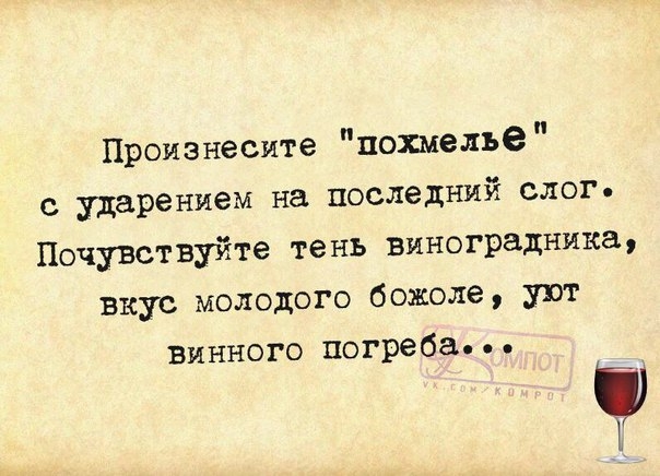 Произнесите похмелье с ударением на последний слог Почувствуйте тень виноградника вкус молодого божоле уют винного погреба