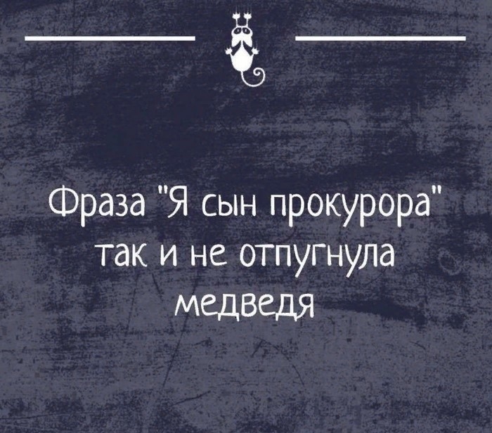 _а Фраза Я сын прокурора так и не отпугнула медведя