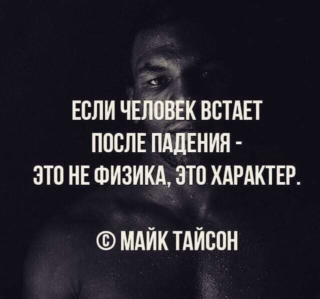 ЕСЛИ ЧЕЛОВЕК ВСТАЕТ ПОСЛЕ ПАДЕНИЯ ЭТО НЕ ФИЗИКА ЭТО ХАРАКТЕР МАЙК ТАЙСОН