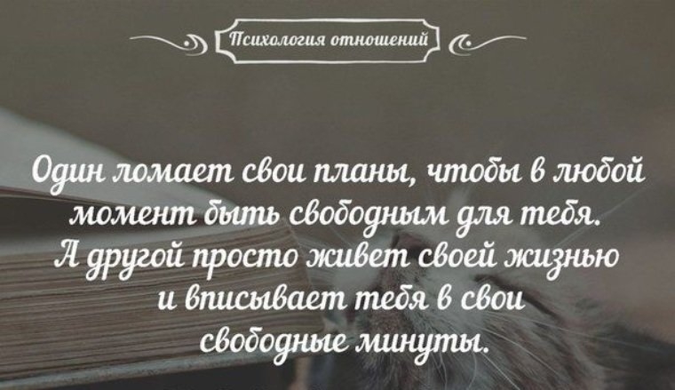 феей е Одинломает свои планы чтобы в любой момент дыть свободным для тебя Я другой просто живет своей жизнью и вписывает тебя в свои свободные минуты