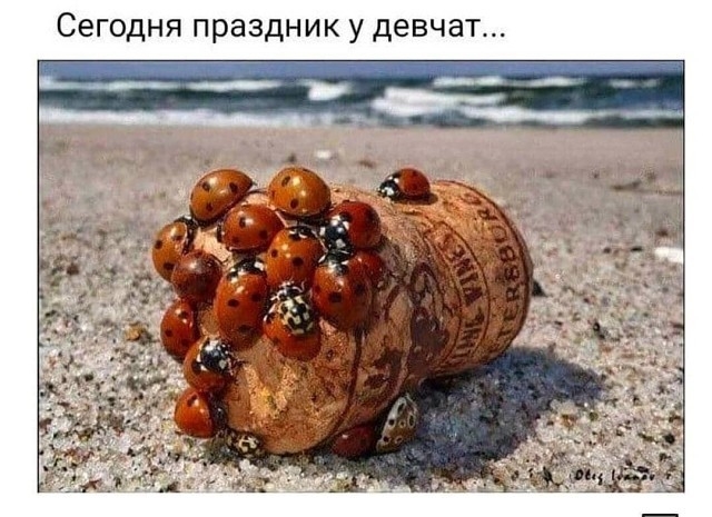 Сегодня праздник у девчат