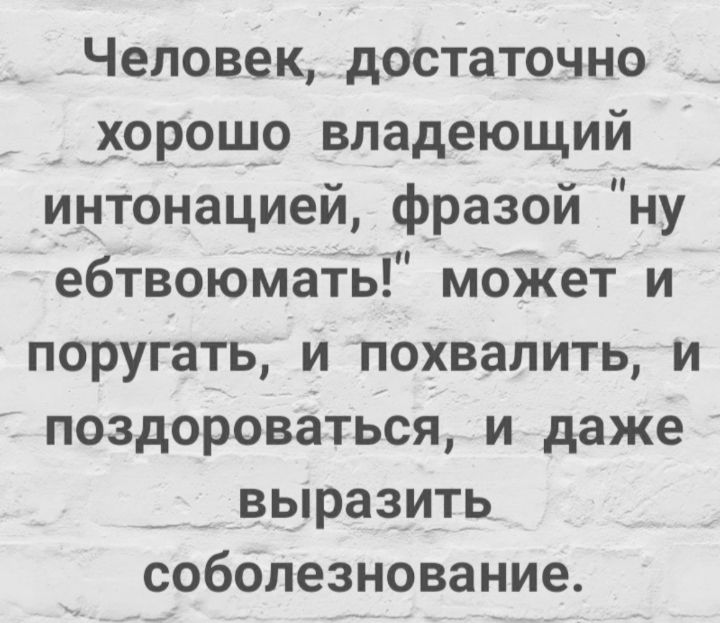 Человек достаточно _ _орощо владеющий__ интонацией фразой ну ебтвоюматЬ моЖет и поругать и похвалить и поздороваться и даже _ _ выразить соболезнование