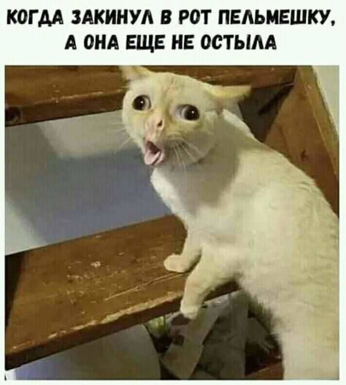 КОГ АА ЗАКИНУА В РОТ ПЕАЬМЕШКУ А ОНА ЕЩЕ НЕ ОСТЫАА
