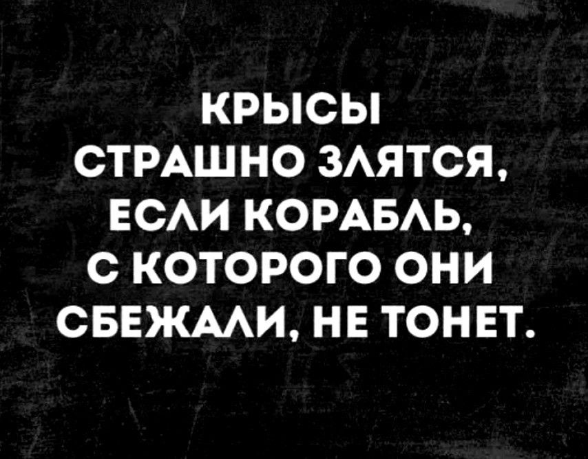 КРЫСЫ ОТРАШНО 3АЯТОЯ ЕСАИ КОРАБАЬ С КОТОРОГО ОНИ СБЕЖААИ НЕ ТОНЕТ