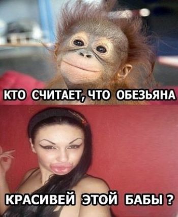 кто счит твт что ОБЕЗЬЯНА КРАСИВЕ ЕИ этой БАБЫ