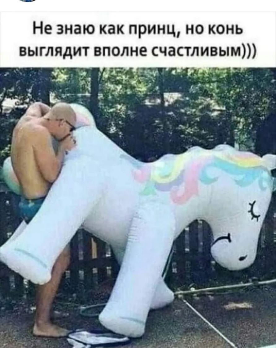Не знаю как принц но конь выглядит вполне счастливым _ чісзч