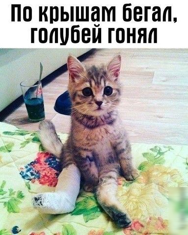 ПО КПЫШЁМ бегал ГОППЙЕЙ ГОНЯП