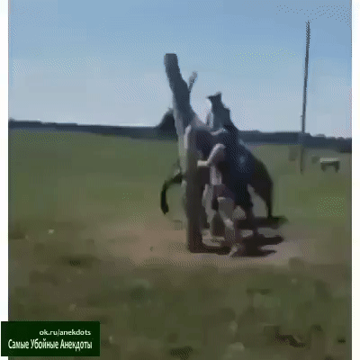 іишУбпйиъчАтшлщ