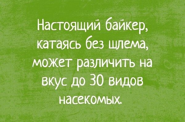 Настоящий байкер катаясь без шлема может различить на вкус до 30 видов насекомых