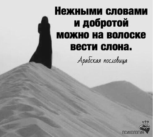 Нежиыми словами и добротой можно на волоске вести опоиа Арад пашбицл