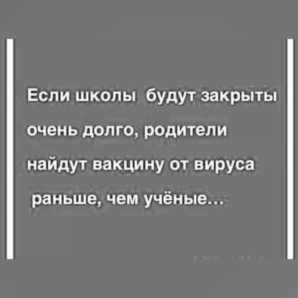 Если школы будут закрыты очень долго родители найдут вакцину от вируса раньше чем учёные
