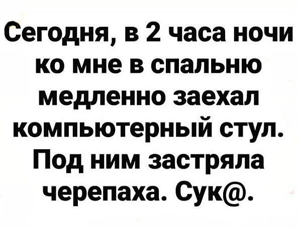 Сегодня в 2 часа ночи ко мне в спальню медленно заехал компьютерный стул Под ним застряла черепаха Сук
