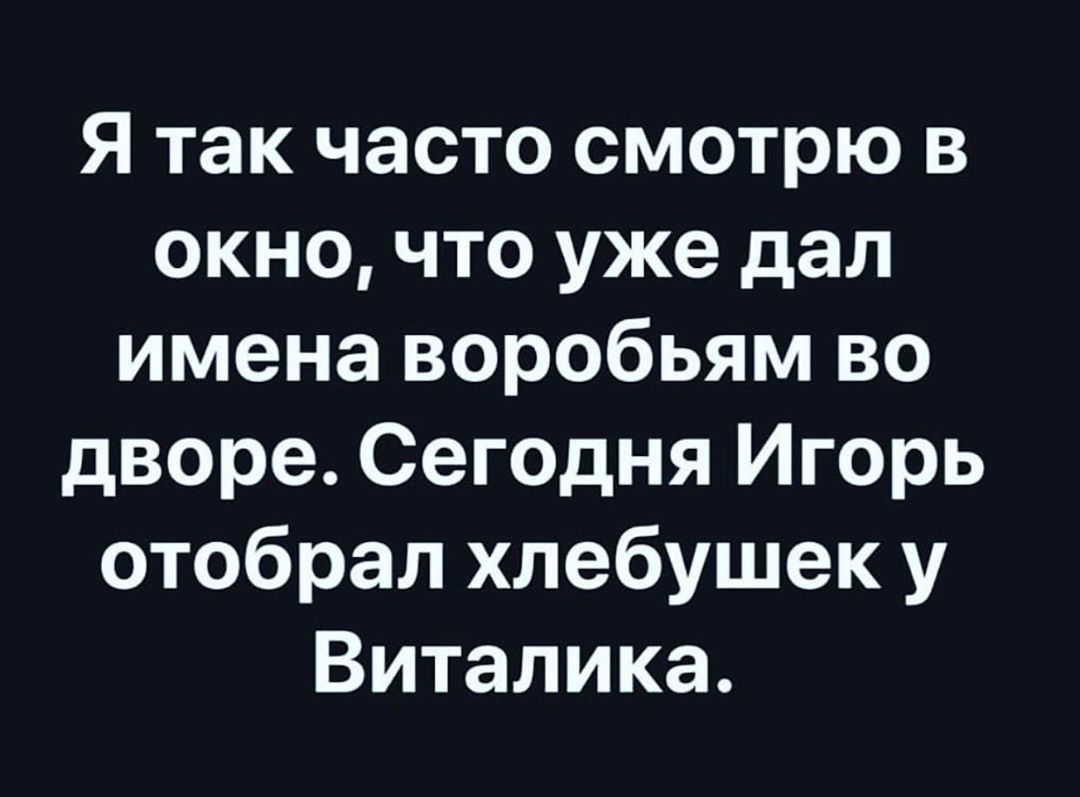 Я так часто смотрю в окно что уже дал имена воробьям во дворе Сегодня Игорь отобрал хлебушек у Виталика