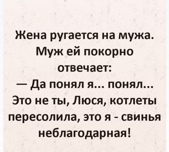 Жена ругается на мужа Муж ей покорно отвечает Да понял я понял Это не ты Люся котлеты пересолила это я свинья неблагодарная