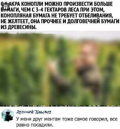 КРА КОНОПЛИ МОЖНО ПРПИЗВЕПИ БОЛЬШЕ АГИ ЕМ С 3 4 ГЕКТАРОВ ЛЕСА ПРИ ЭТОМ КОНОПЛЯНАЯ БУМАГА НЕ ТРЕБУЕТ ОТБЕЛИЕАНИЯ НЕ ЖЕЛТЕЕТ ПНА ПРПЧНЕЕ И ЦППГОВЕЧНЕИ БУМАГИ ИЗ дРЕВЕСИНЫ У меня друг ментам тоже самое говорил все равно посадили