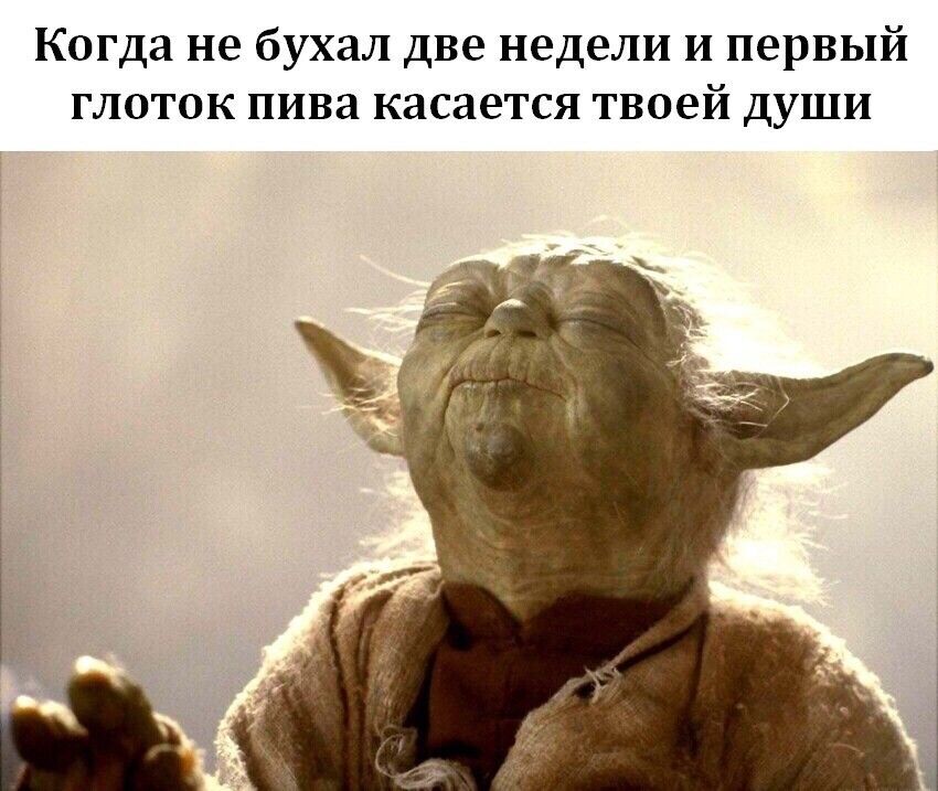 Когда не бухал две недели и первый глоток пива касается твоей души