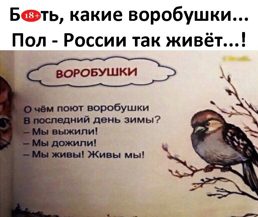 Б ть какие воробушки Пол России так живёт воровушки