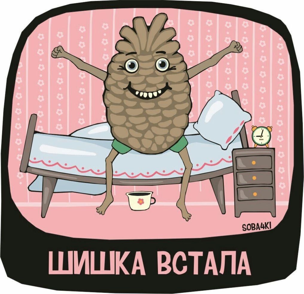 ШИШКА ВСТАПА