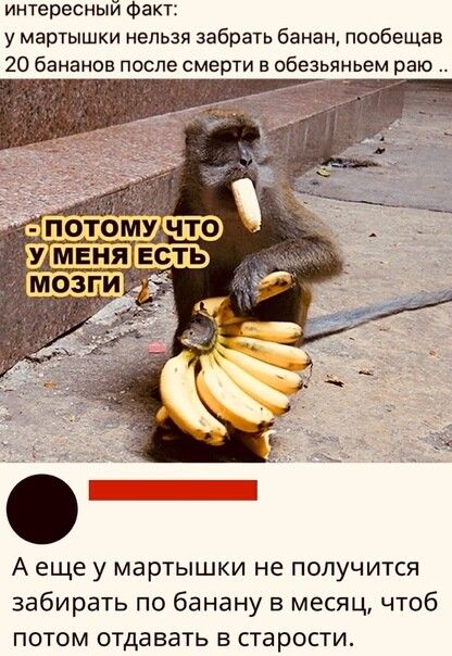 интересный факт у мартышки нельзя забрать банан пообещав 20 бананов после смерти в обезьяны эм раю А еще у мартышки не получится забирать по банану в месяц чтоб потом отдавать в старости