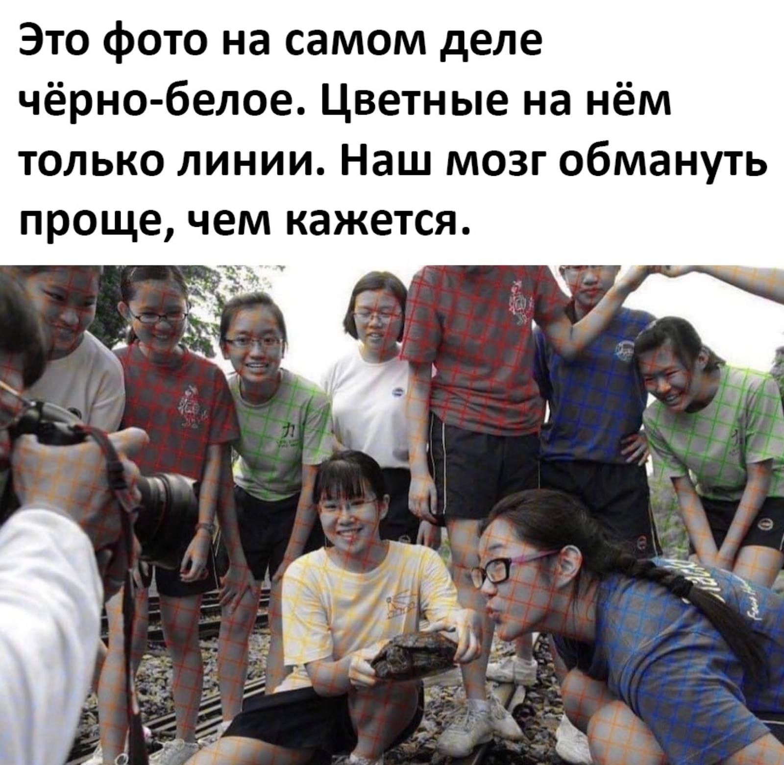 Это фото на самом деле чёрно белое Цветные на нём только линии Наш мозг обмануть проще чем кажется __ п _