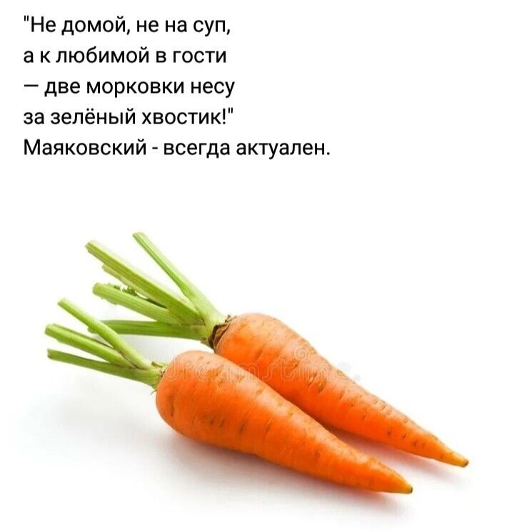 Не домой не на суп а клюбимой в гости две морковки несу за зелёный хвостик Маяковский всегда актуален