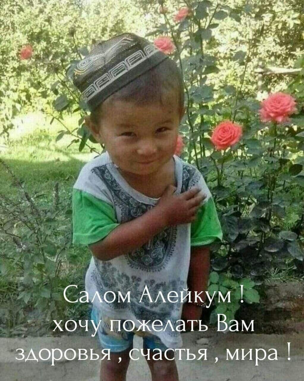 ВЬЯ асйёъя мира 41 А 3 д