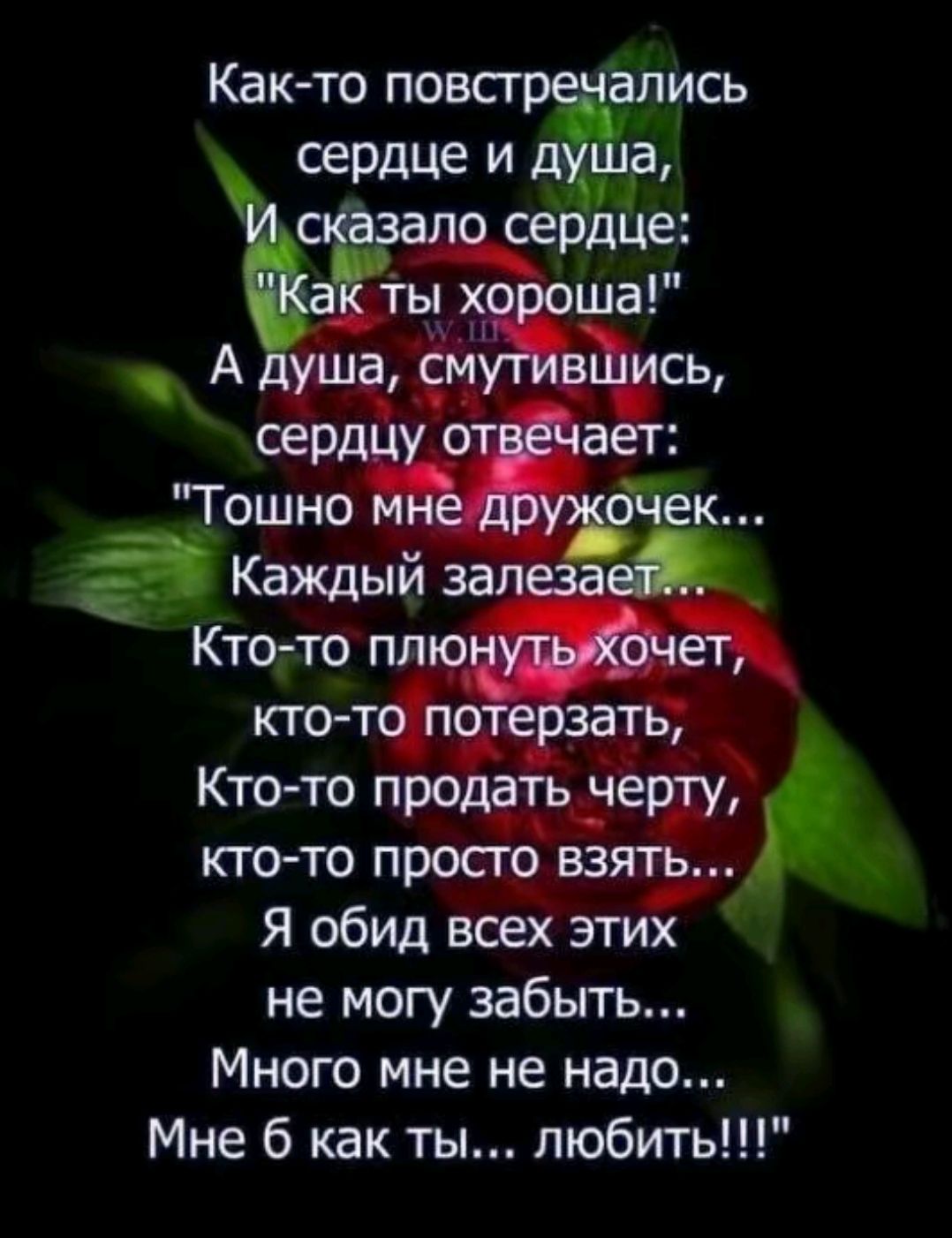 Как-то повстречались сердце и душа,\nИ сказала сердце: 'Как ты хороша!'\nА душа, смутившись, сердцу отвечает:\n'Тошно мне дружочек...\nКаждый залезает...\nКто-то плюнуть хочет,\nкто-то потерзать,\nКто-то продать черту,\nкто-то просто взять...\nЯ обид всех этих не могу забыть...\nМного мне не надо...\nМне б как Ты... любить!!!'