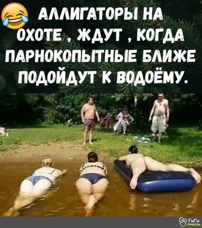 АААИГАТОРЫ нд охоте ждут когдд пярнокопьпныв вдижв подойдут к водоЁму __МЁ со Ён