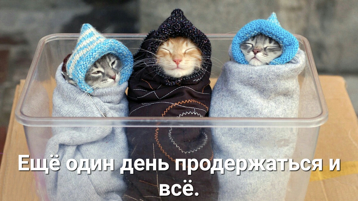 ъ_ еі іЬп 0 вериться и всё
