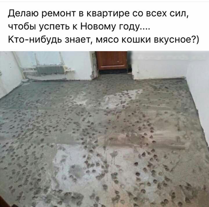 Делаю ремонт в квартире со всех сил чтобы успеть к Новому году Кто нибудь знает мясо кошки вкусное ь