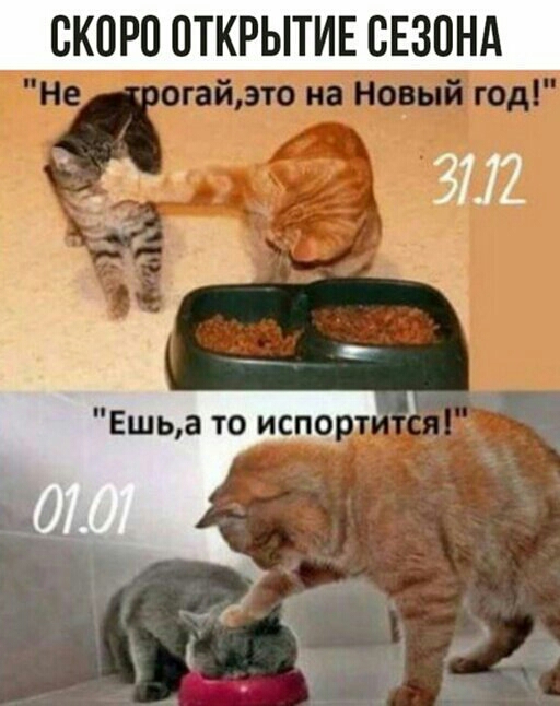 ОКОРО ОТКРЫТИЕ СЕЗОНА а 3712