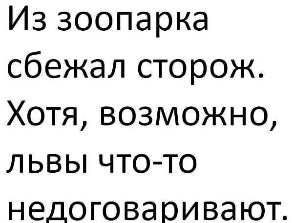 Из зоопарка сбежал сторож Хотя возможно львы чтото недоговаривают
