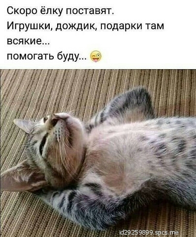 Скоро ёлку поставят Игрушки дождик подарки там всякие помогать буду тзззэзаез эш