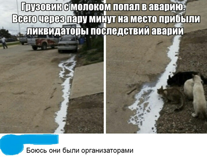 с молоком попал в авапЕГоЁ ваші1 а МИШТ на место ППИЁЫЛИ ПИНВИДНШПЫ ПШЕПБДВТВИИ ЗВНПИИ Боюсь они были организаторами