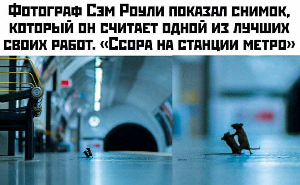 Фптпгпцш пм Рпнпи ппкп_3дп нимпк кптппыи пн читдвт пднпи и пнчших пвпих пднпт Еппд нд тднции мвтпп