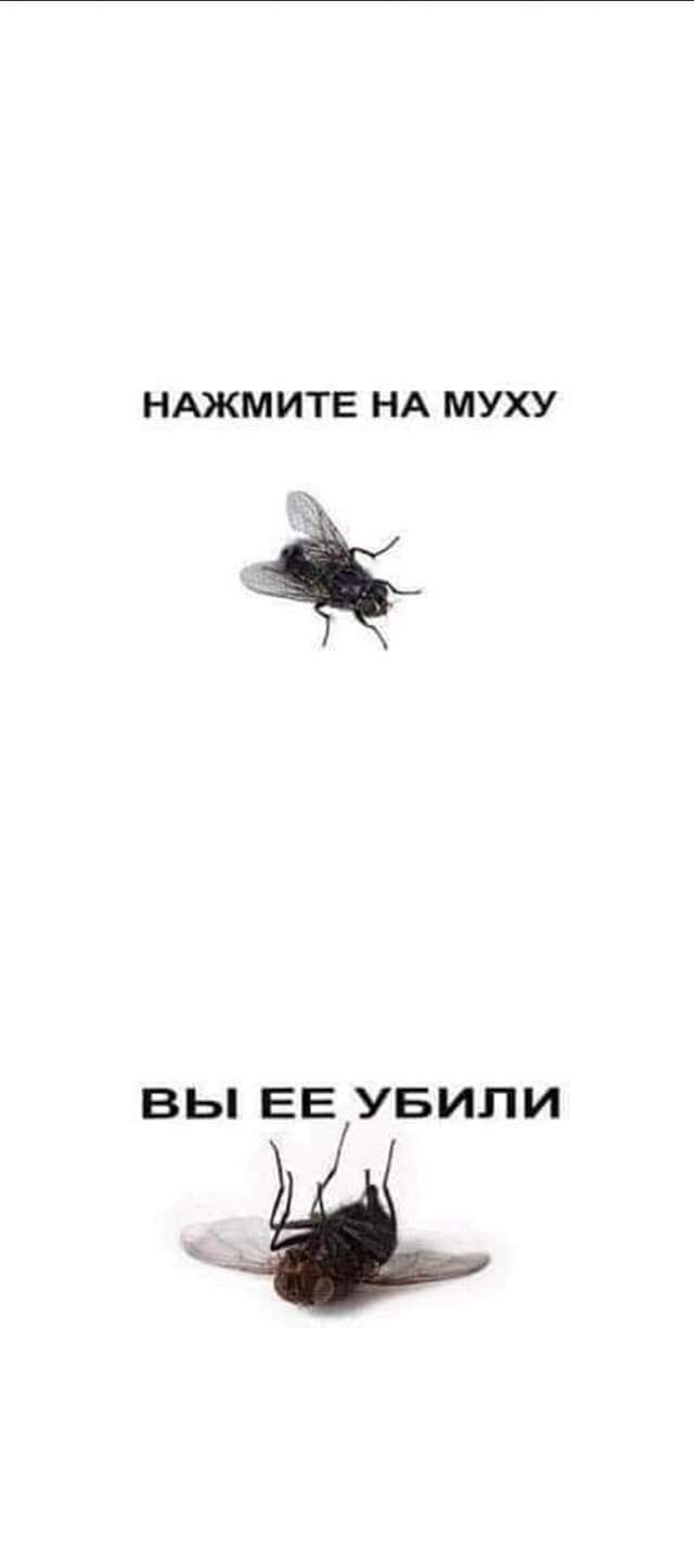 НАЖМИТЕ НА МУХУ дв ВЫ ЕЕ УБИЛИ