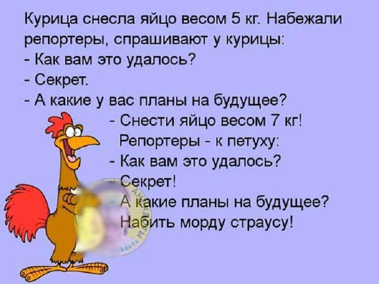 Курица снесла яйцо весом 5 кг Набежапи репортеры спрашивают у курицы Как вам это удалось Секрет А какие у вас планы на будущее Снести яйцо весом 7 кг Репортеры к петуху Как вам это удалось Секрет А івкие планы на будущее а НЁить морду страусу