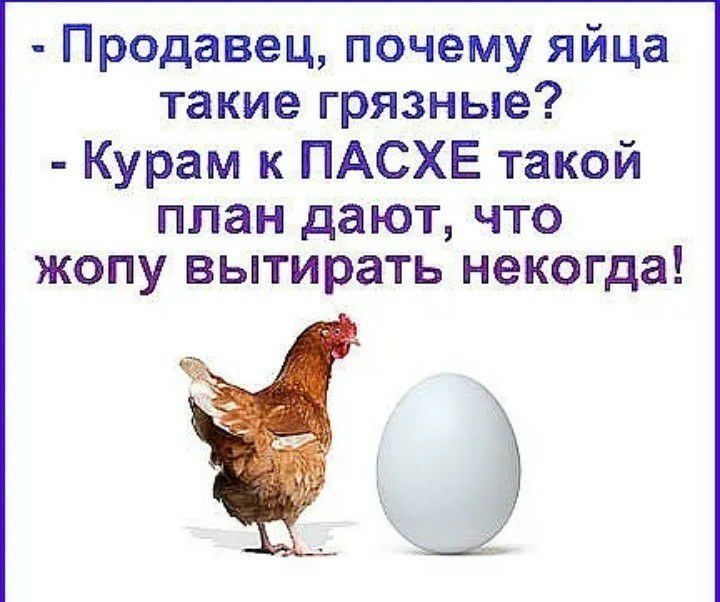 Продавец почему яйца такие грязные Курам к ПАСХЕ такой ППЗН дают ЧТО ЖОПУ вытирать некогда