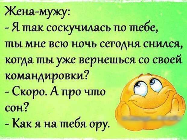 Жетщ мужу Я так соскучидась по те ты мне всю ночь сегодня командировки Скоро А про что сон Как я на тебя ору