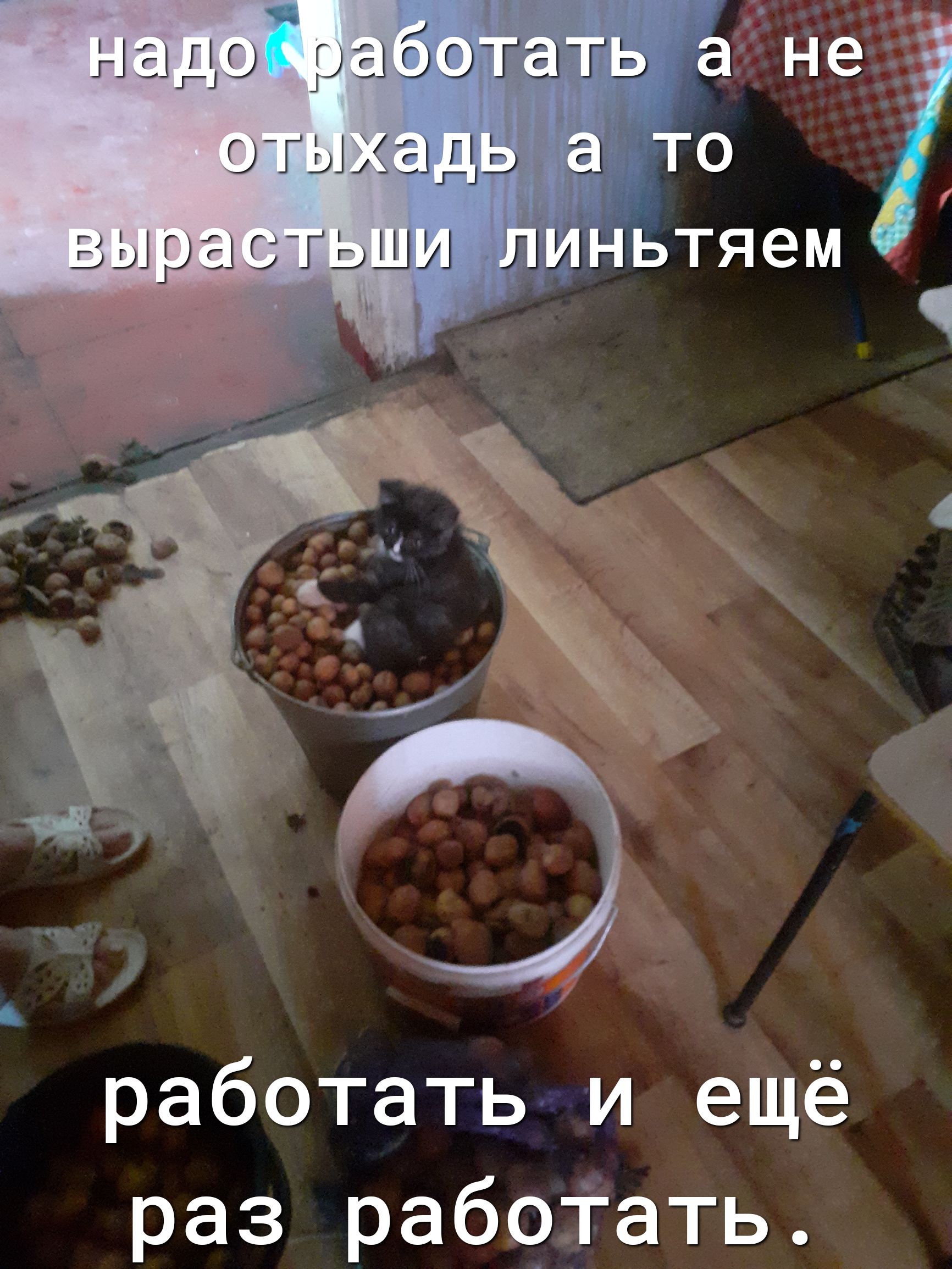 г г _г ЫЩГЦО РСЗООГЫ Г отыхадь ВЫРЫСТЬШИ работать и ещё раз рабоТать