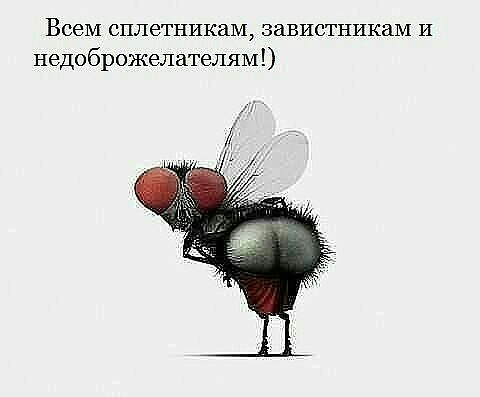 Всем сплетникащ завистникам и недоброжепателям