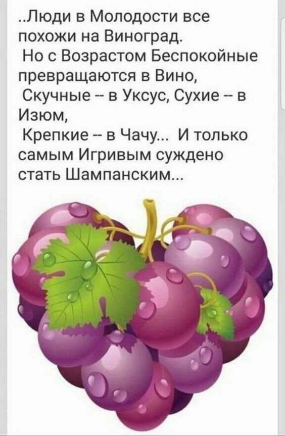Люди в Молодости все похожи на Виноград Но с Возрастом Беспокойные превращаются в Вино Скучные в Уксус Сухие в Изюм Крепкие в Чачу И только самым Игривым суждено стать Шампанским