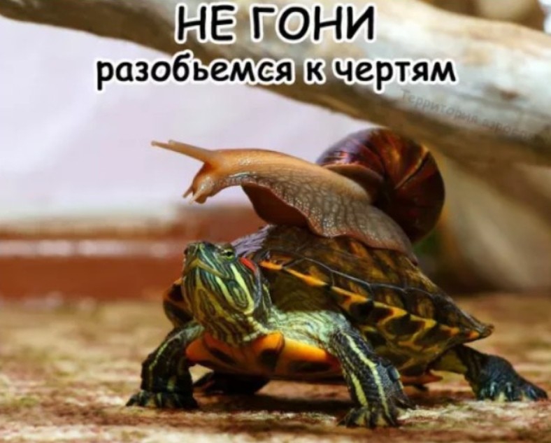 НЕОКОНИ